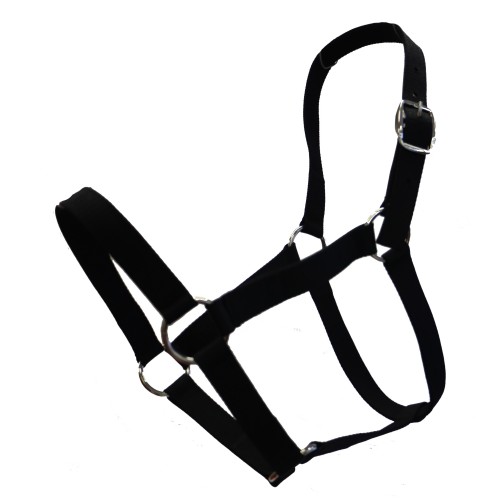 Stable Halter Pack   Full - 5 Pack Halters Assorted